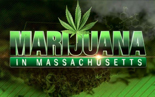 Massachusetts Opens First Recreational Cannabis Shops on East Coast