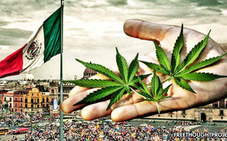 Cannabis Legalization in Mexico