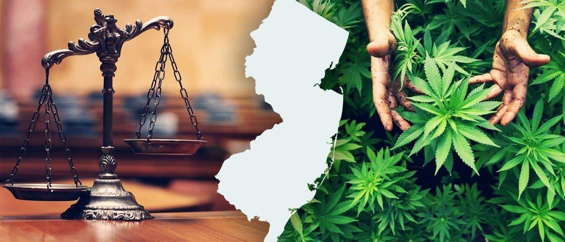 Cannabis legalization rules
