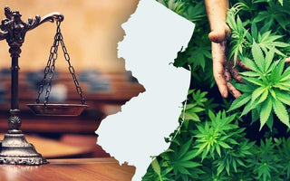 Cannabis legalization rules