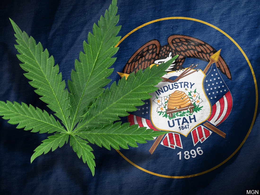 Utah Votes Pro-Medical Cannabis Despite Mormon Church Interference