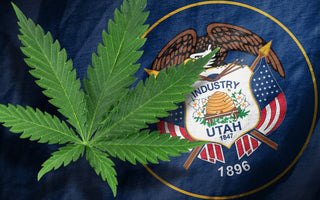 Utah Votes Pro-Medical Cannabis Despite Mormon Church Interference