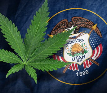 Utah Votes Pro-Medical Cannabis Despite Mormon Church Interference