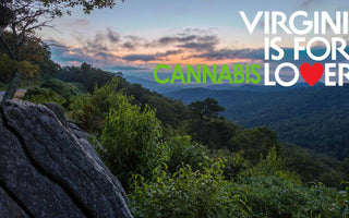 Virginia Takes A Great Step Forward With Weed
