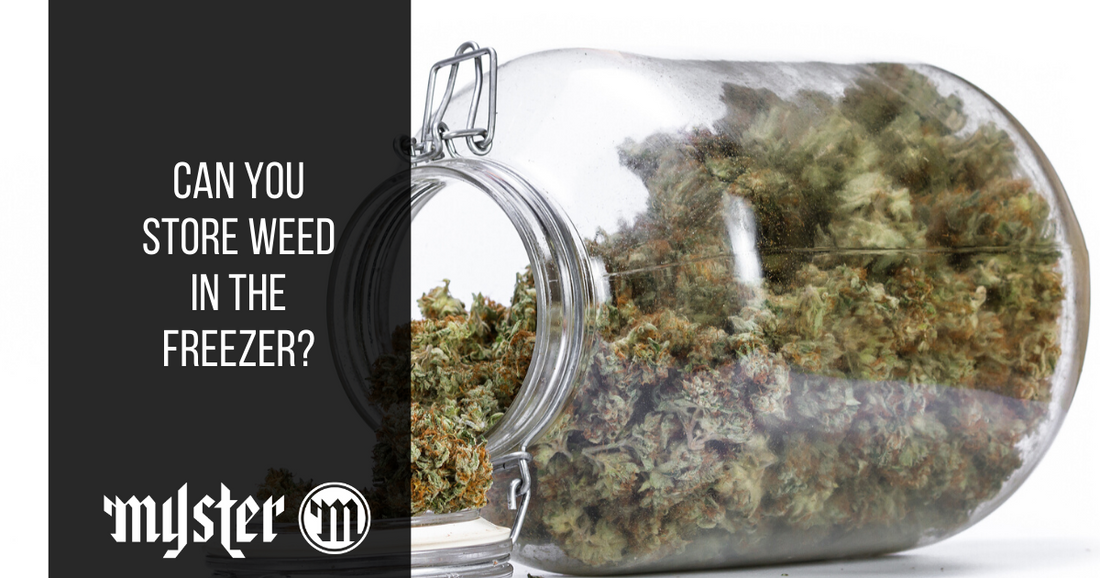 Can You Store Weed In The Freezer?