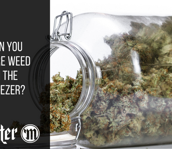 Can You Store Weed In The Freezer?