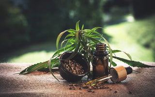 Is The Hype Around CBD Products New or Vintage?