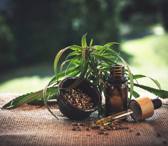Is The Hype Around CBD Products New or Vintage?