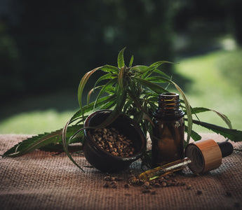 Image by Julia Teichmann from Pixabay 