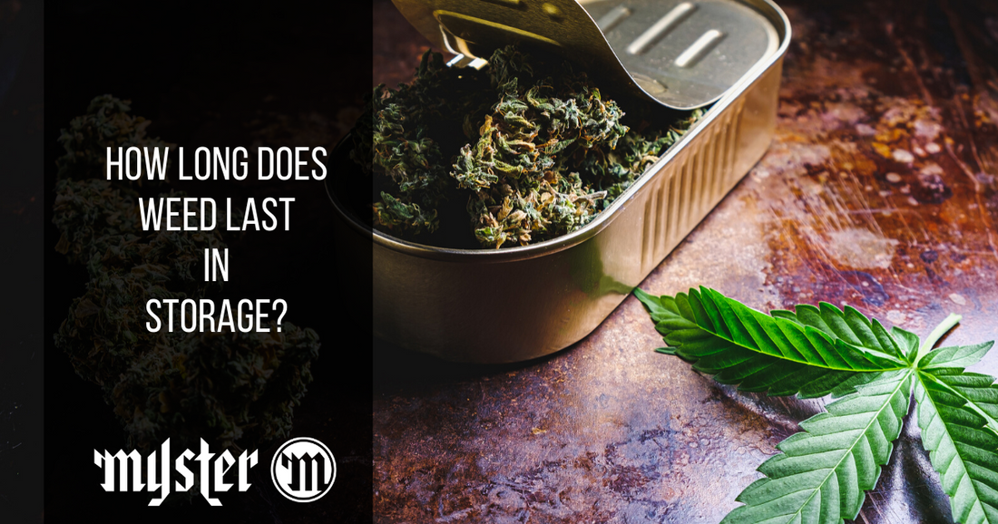 How Long Does Weed Last In Storage?