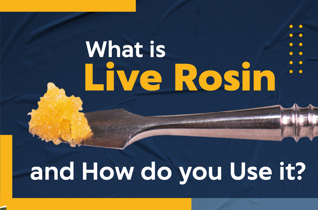 live rosin