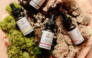 Photo by Tree of Life Seeds from Pexels