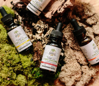 Photo by Tree of Life Seeds from Pexels