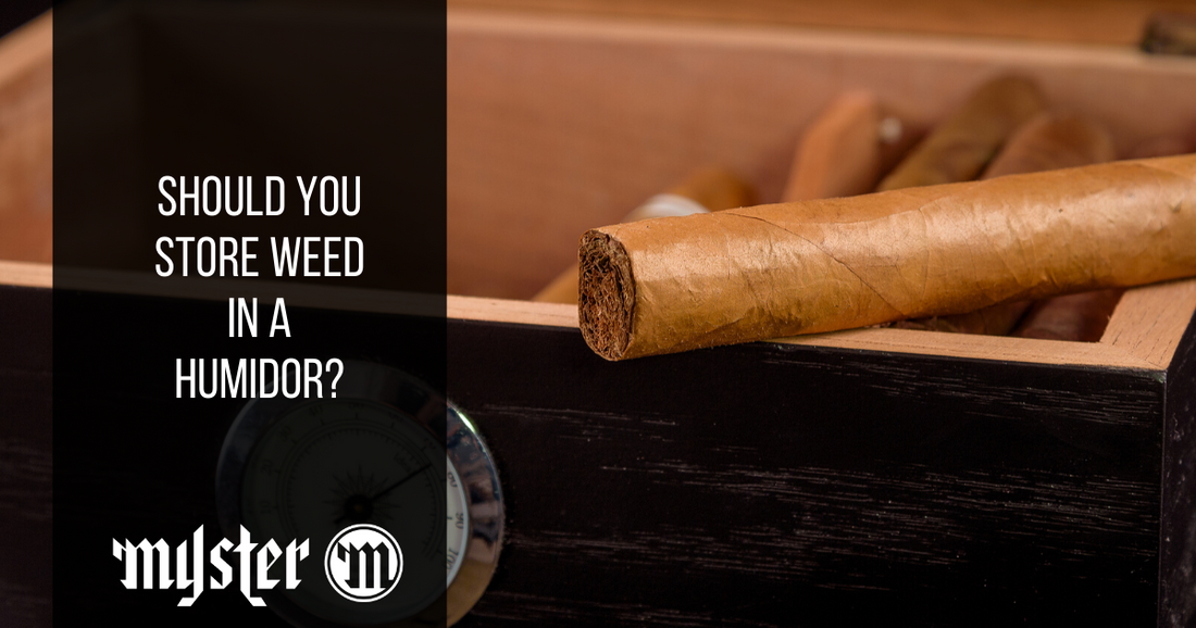 Should You Store Weed In a Humidor?