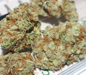 5 Cannabis Strains For Boosting Immunity