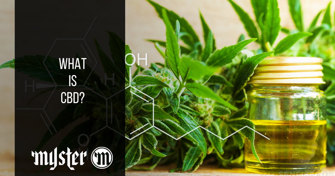 What Is CBD? Simple, Factual, And Quick Answers
