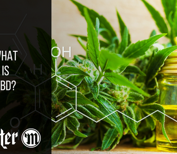 What Is CBD? Simple, Factual, And Quick Answers