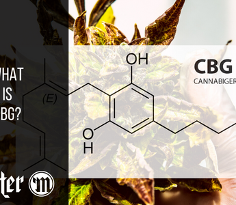 What Is CBG?