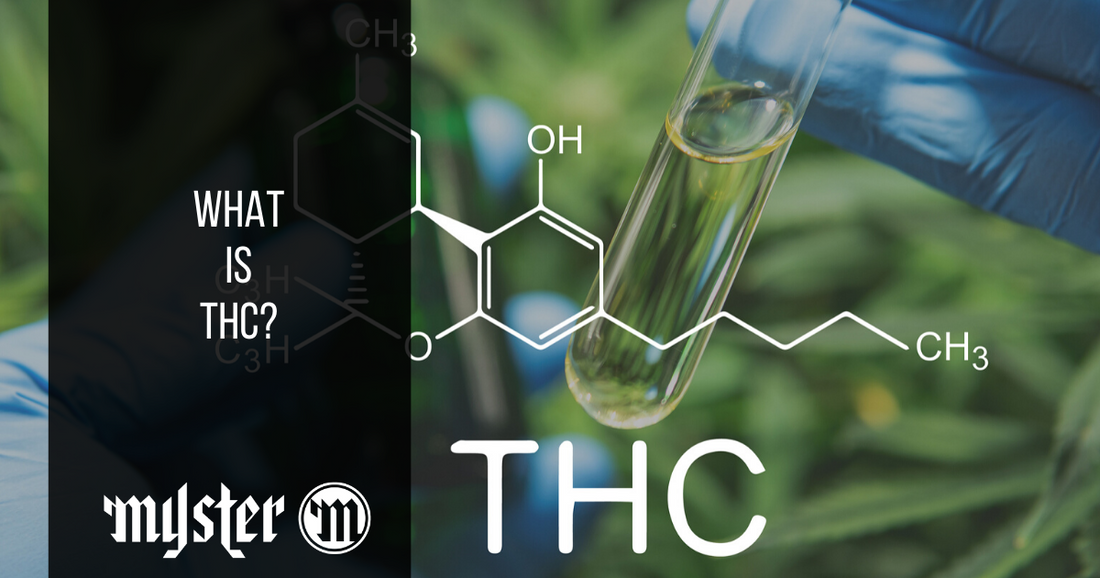 What Is THC, And What’s It Used For?