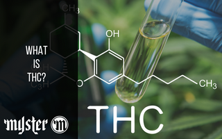 What Is THC, And What’s It Used For?
