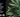 What Is The Entourage Effect In Cannabis?