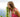 Image by DimStock from Pixabay 