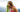 Image by DimStock from Pixabay 